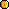 Gold Coin
